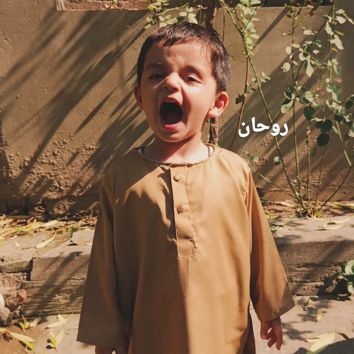 Ahsan Mahmood